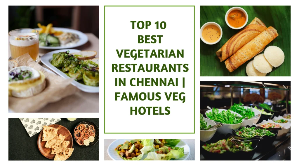 Top 10 Best Vegetarian Restaurants in chennai